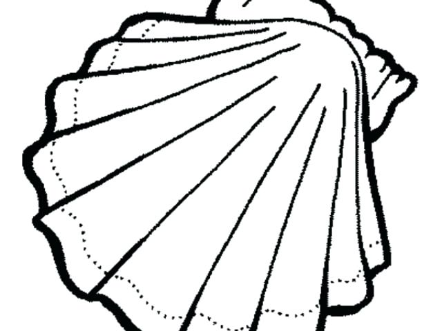 640x480 Clam Shell Coloring