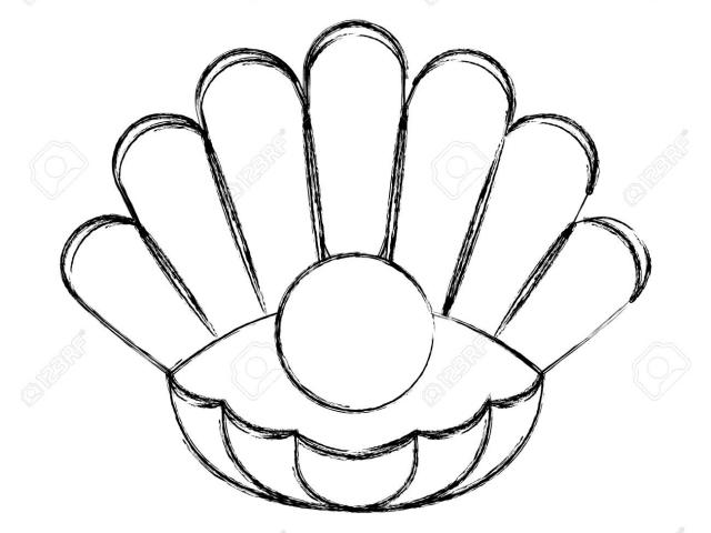 640x480 Drawn Shell Pearl Shell
