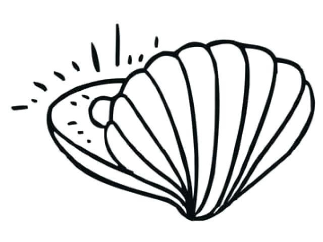 640x480 Open Clam Shell Coloring