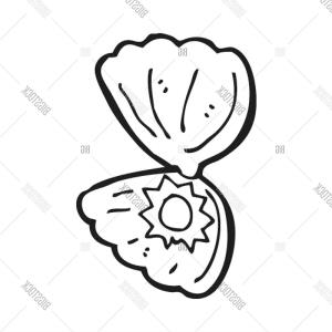 300x300 Photostock Vector Pearl Oyster Shell Illustration Drawing