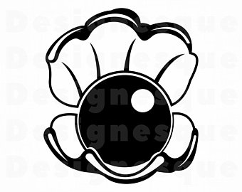 340x270 Sea Shell Pearl Etsy