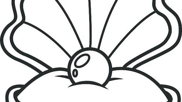 585x329 Wonderful Ideas Clam Coloring