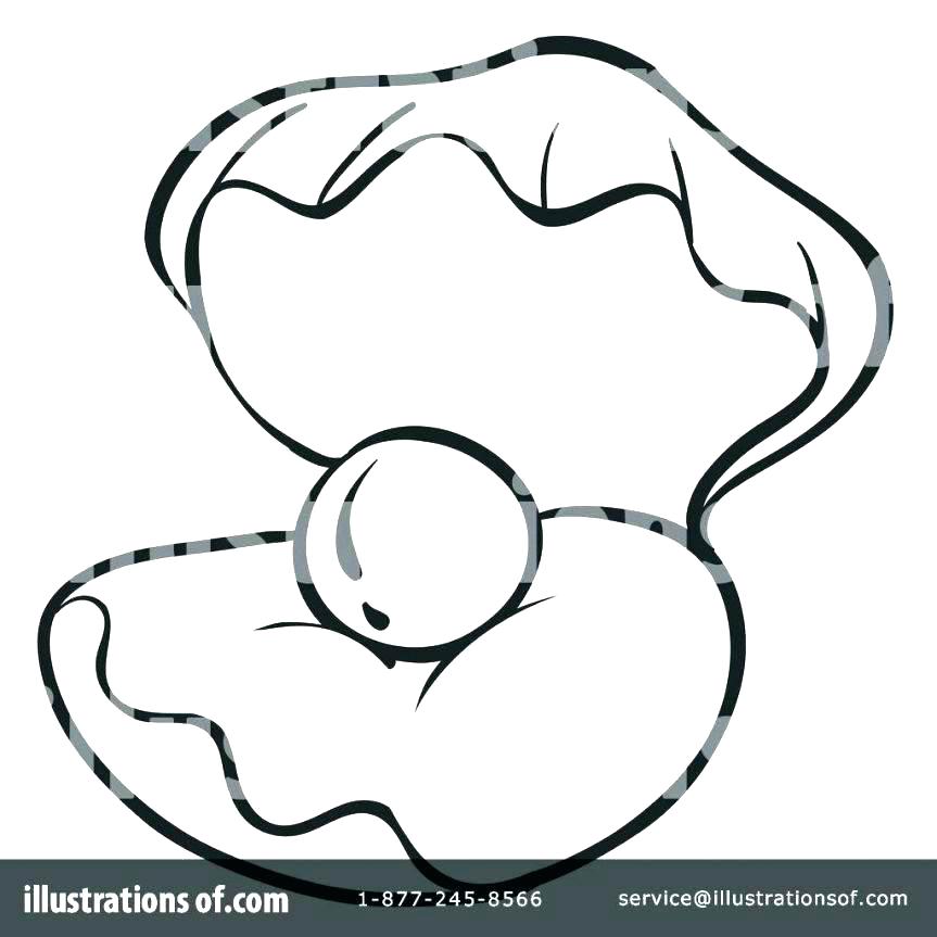 863x863 Attractive Design Ideas Clam Coloring