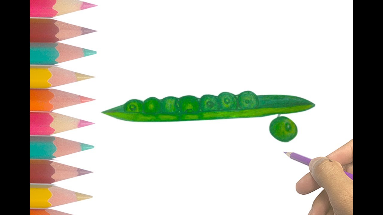 1280x720 How To Draw Pea Easy And Simple Drawing Of Peas Hd
