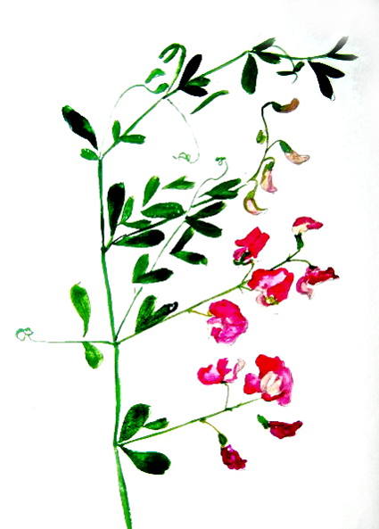 425x593 How To Draw A Beautiful Flower