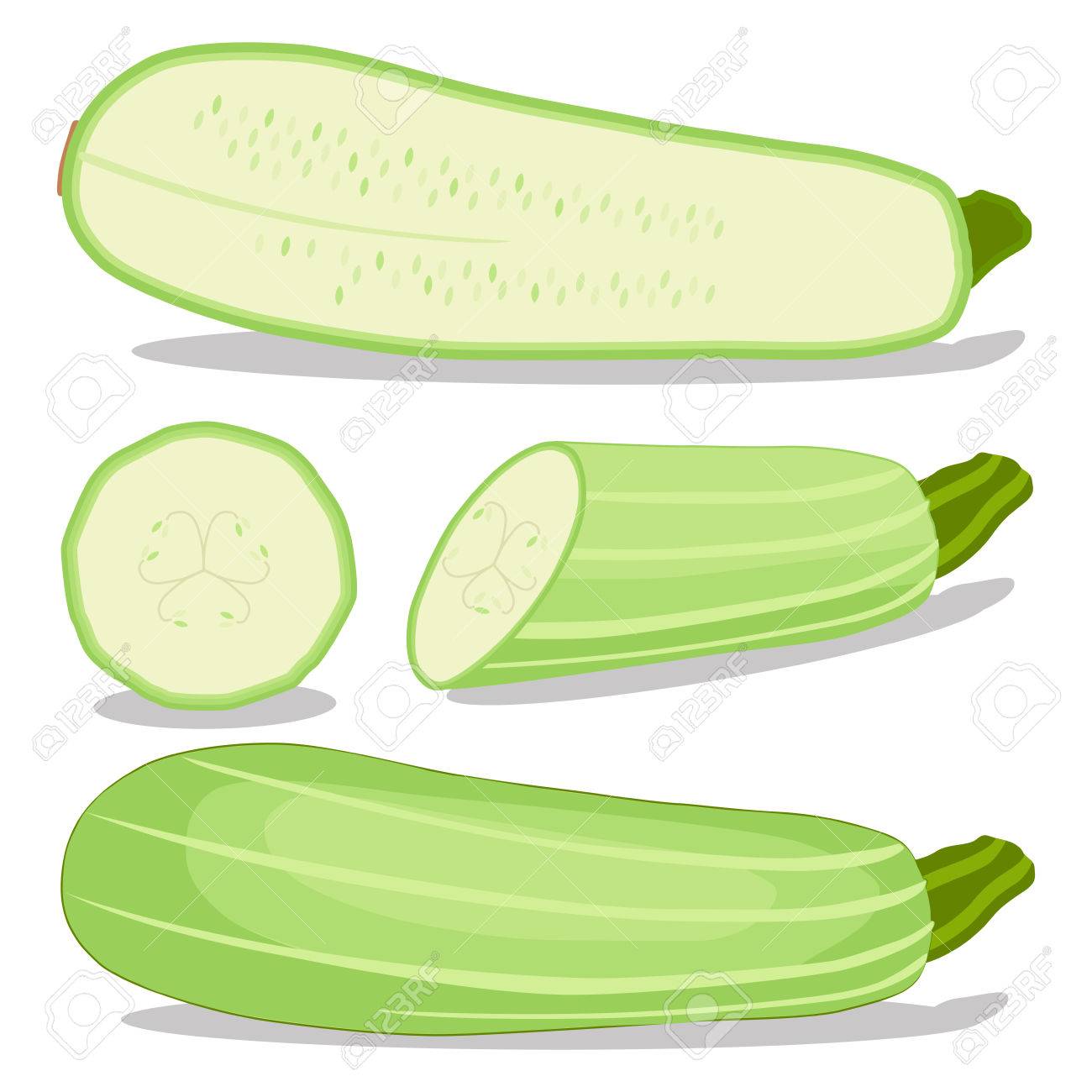 1300x1300 Zucchini Clipart Drawing