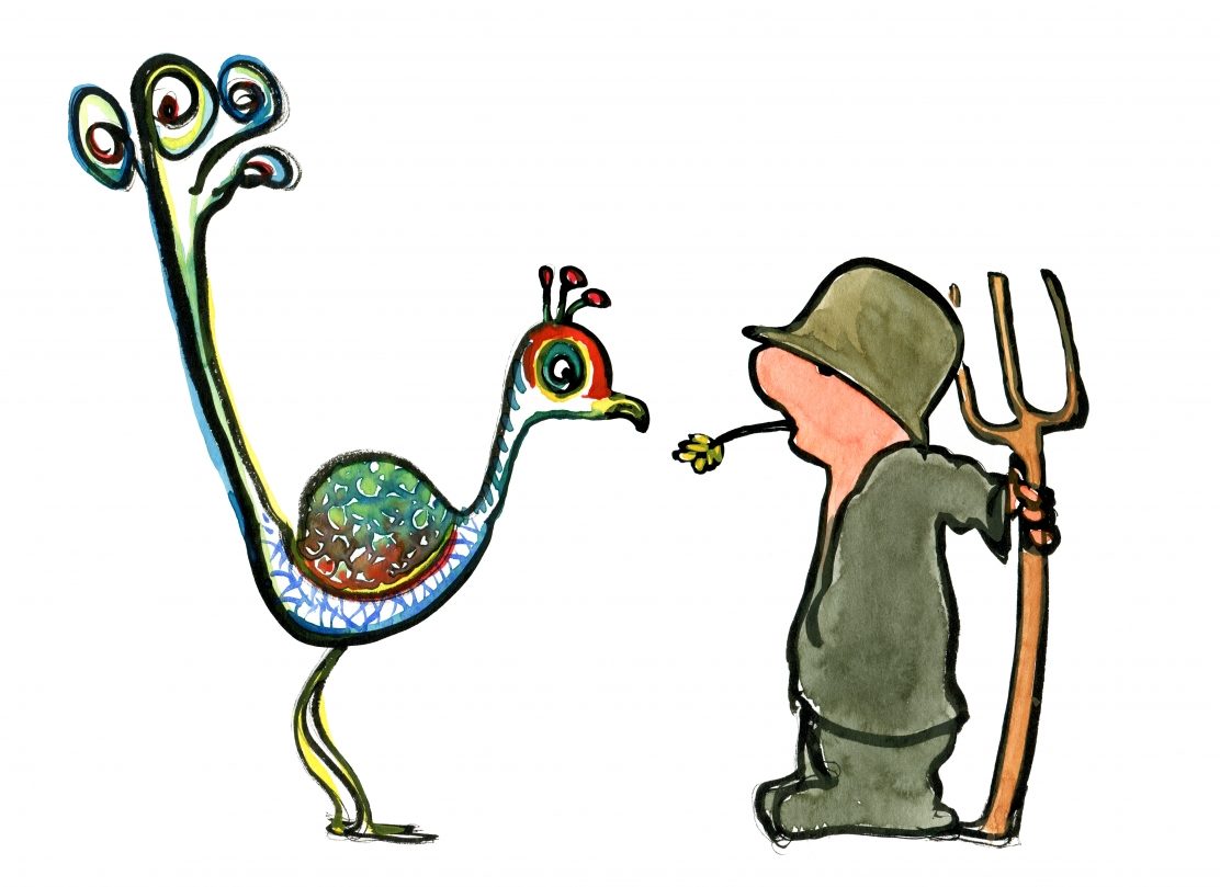 1112x809 city pheasant vs country peasant prejudices the hiking artist