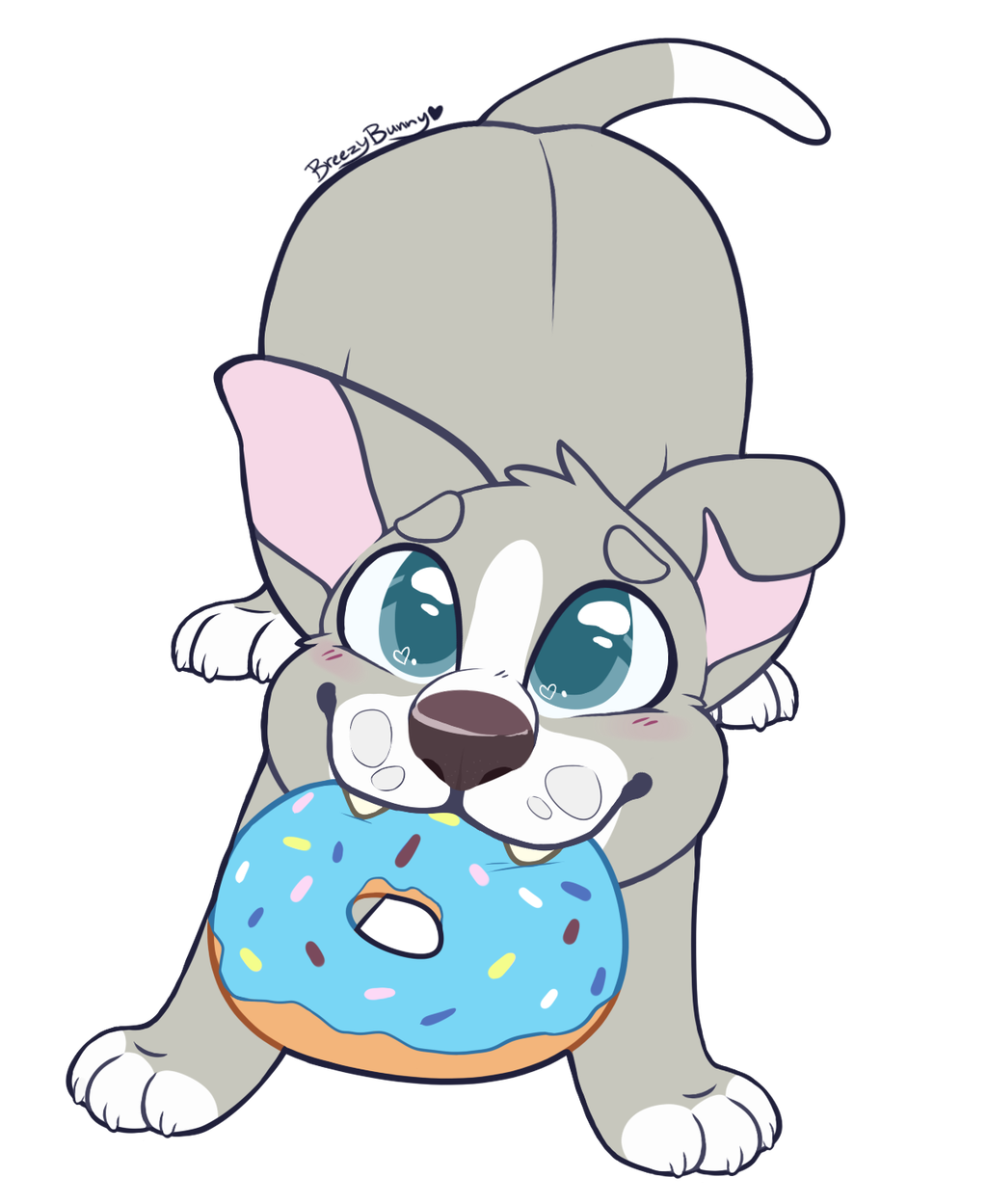 1024x1249 pebble teensy