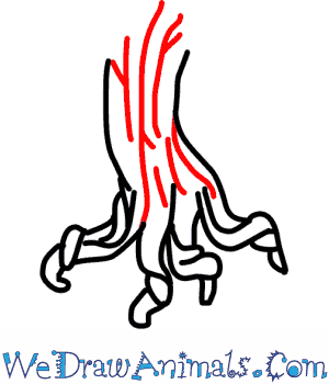 300x350 how to draw a pecan tree