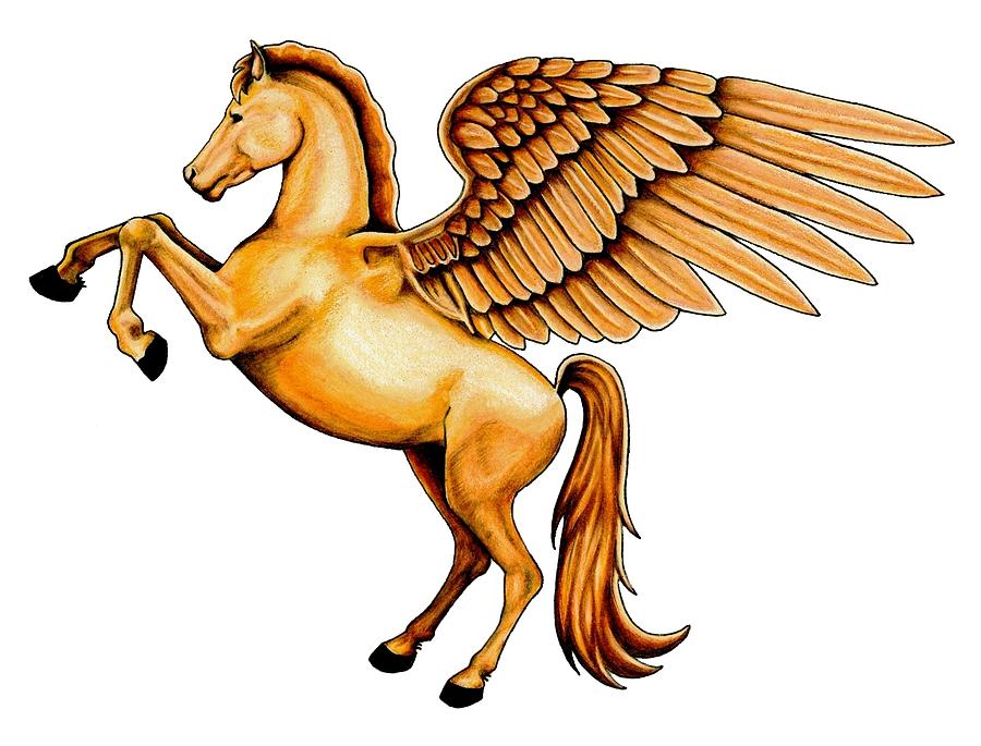 900x685 Pegasus Drawing