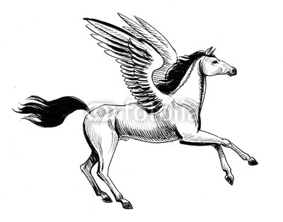 400x314 Flying White Pegasus Ink Black And White Illustration Buy