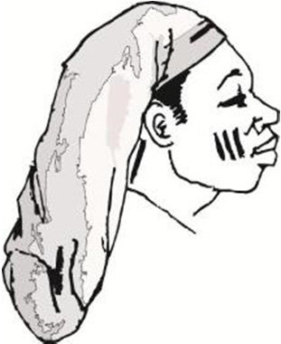 311x380 Lady Showing Illustration