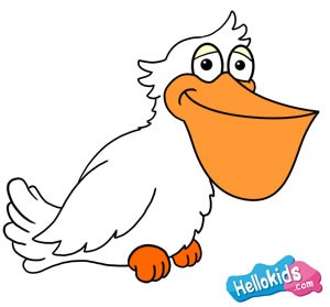 300x279 Comment Dessiner How To Draw A Pelican