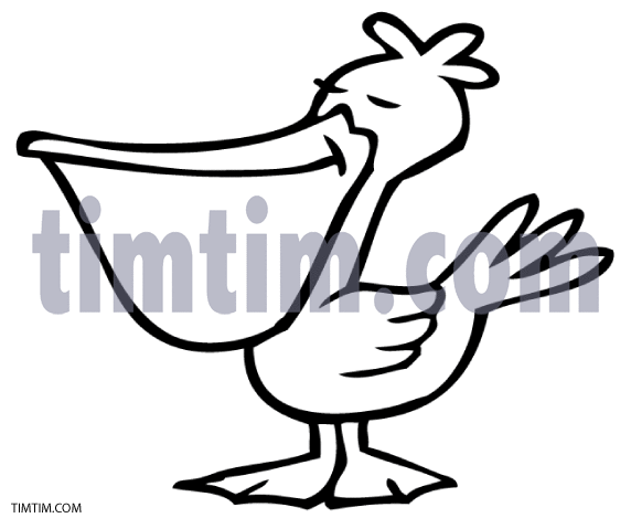 572x469 Free Drawing Of A Pelican Bw From The Category Birds Insects