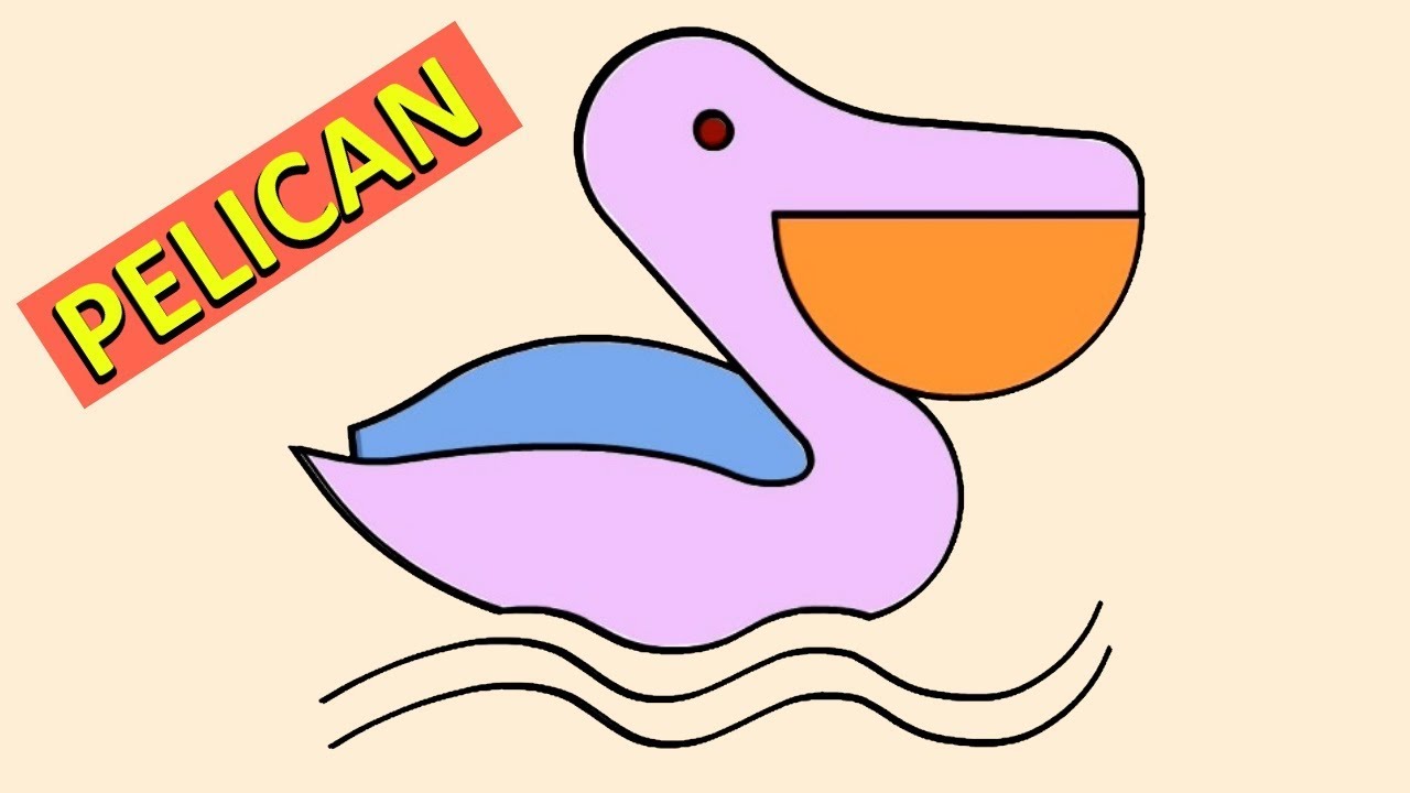 1280x720 how to draw a pelican kids color book ! pelican drawing