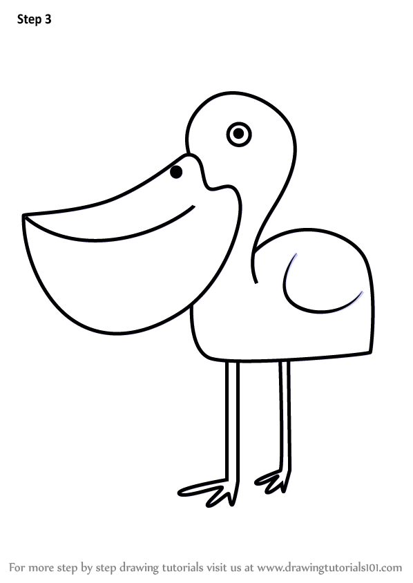 598x844 Learn How To Draw A Pelican For Kids