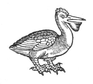 300x270 The Love Of The Pelican Chalke Valley History Festival