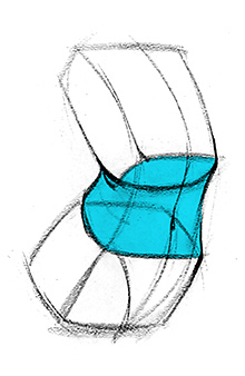 220x338 how to draw structure in the body robo bean proko