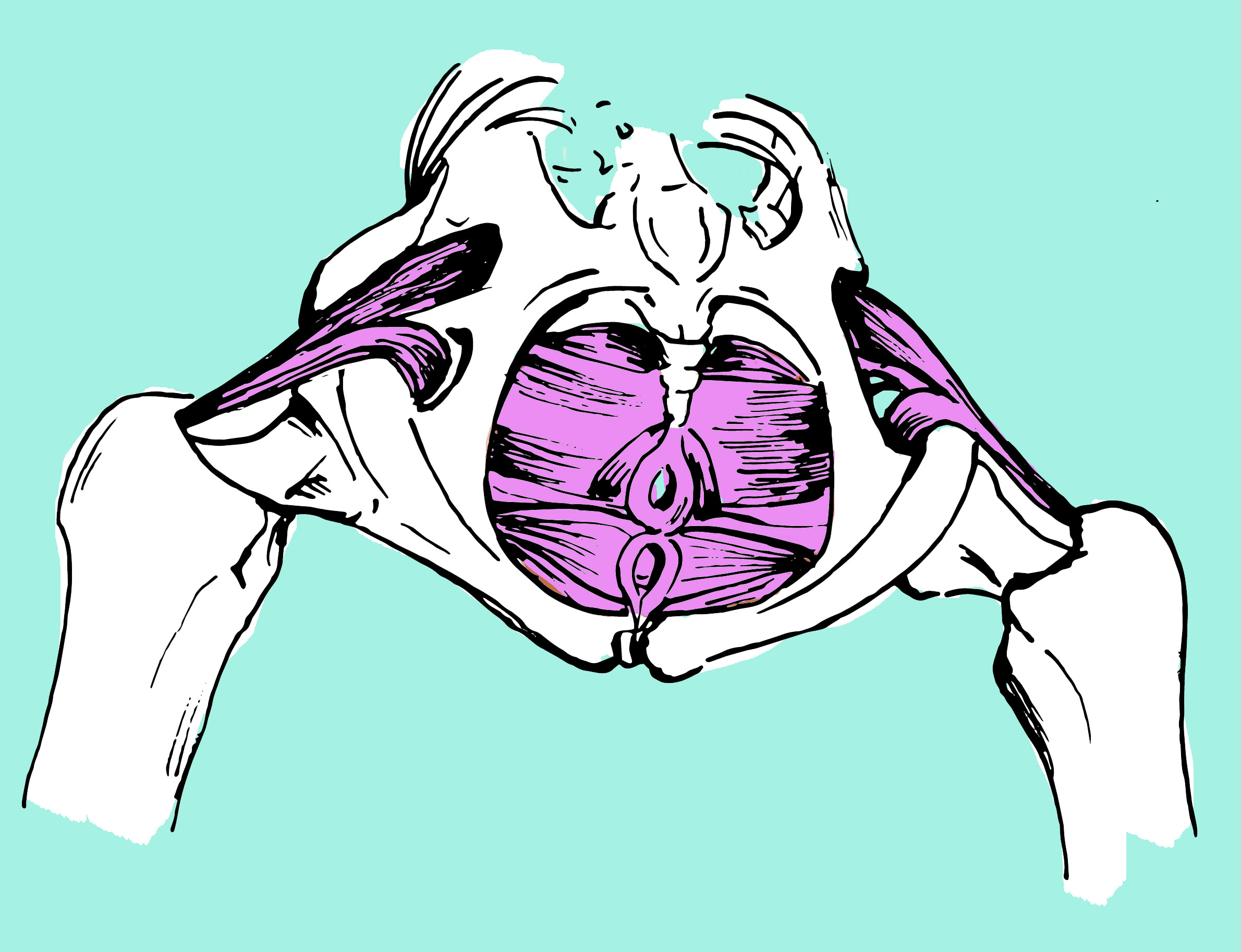 2380x1826 let me introduce you to your pelvic floor part