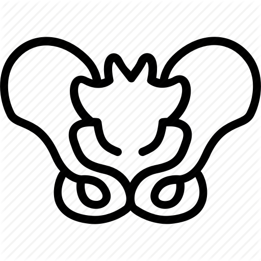 512x512 anatomy, hip, human, joint, medical, pelvis, skeleton icon icon