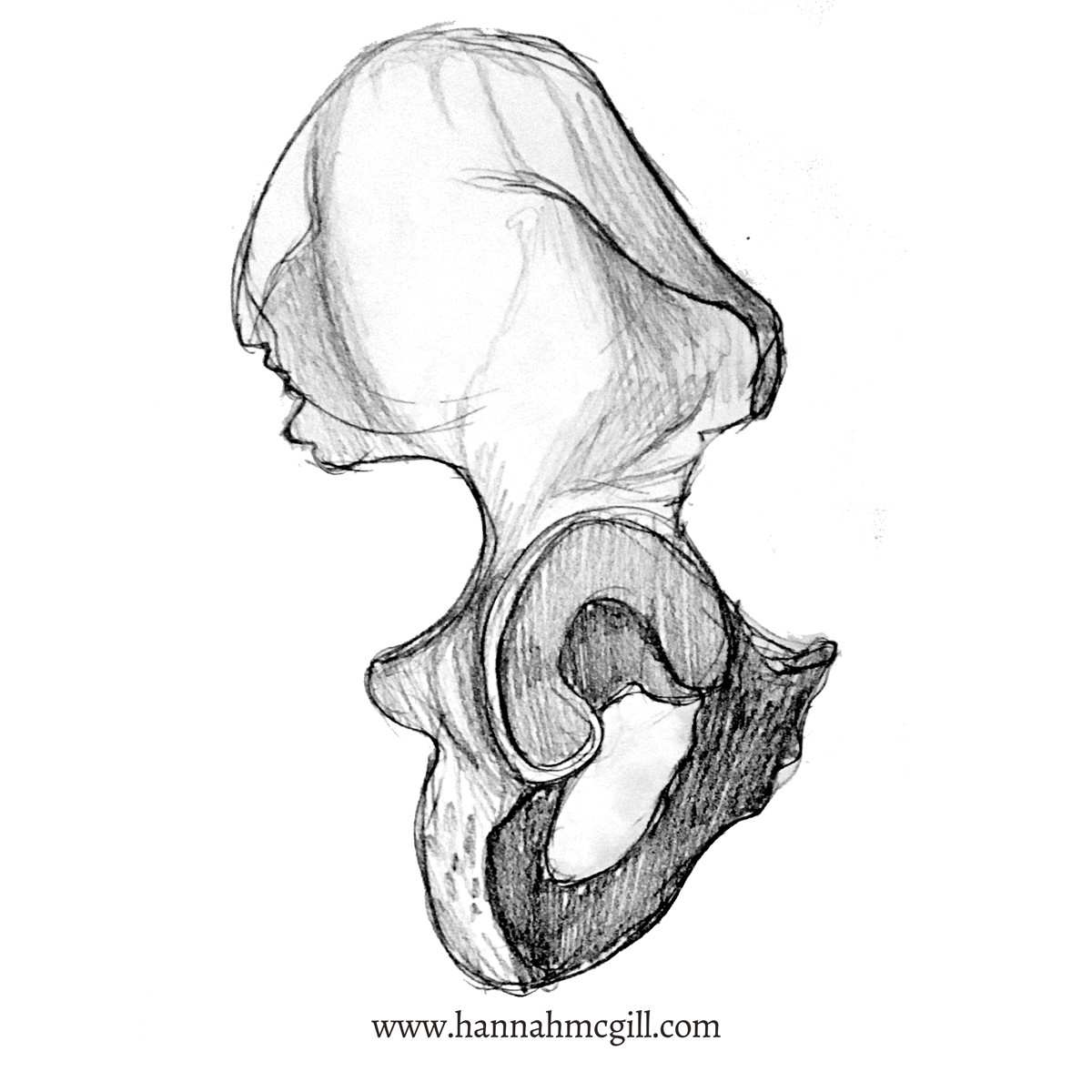 1200x1200 H Mcgill I've Decided To Formally Gather My Anatomy Studie