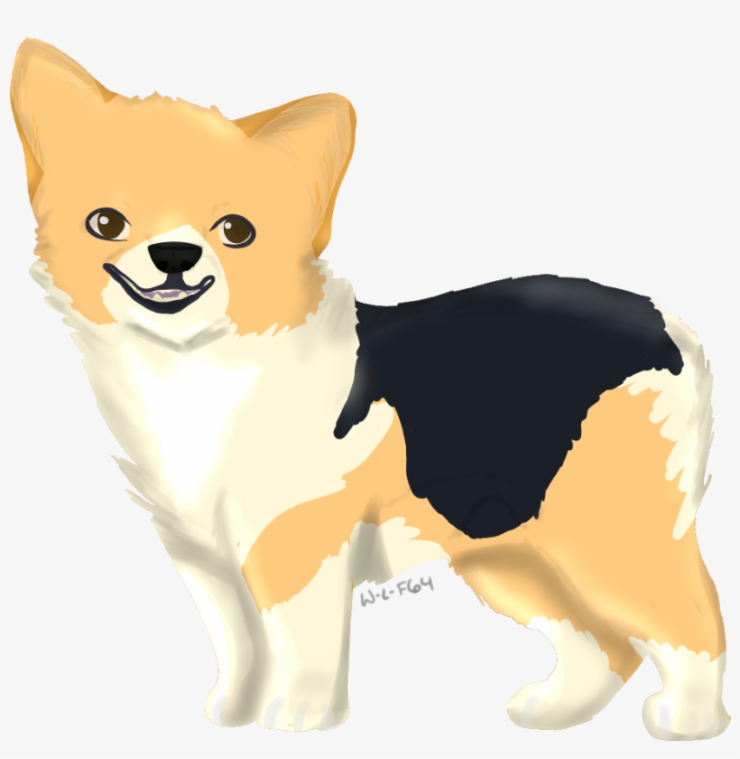 820x840 Drawn Corgi Transparent