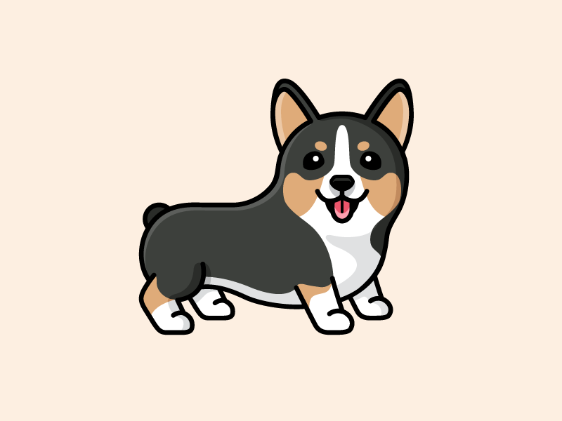 800x600 Black Corgi