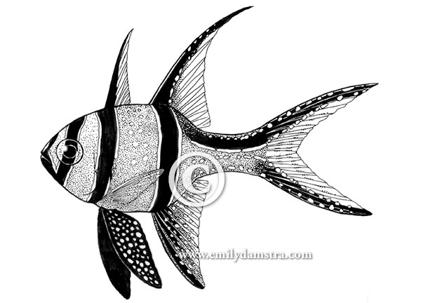 600x432 From A Decade Ago Pen And Ink Aquarium Illustrations Emily S