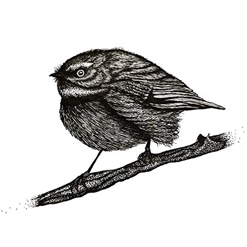 500x500 Pen And Ink Little Bird Handmade
