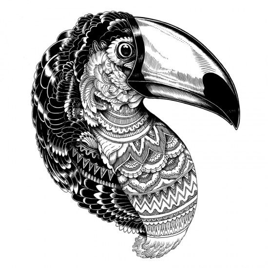 550x550 Black And White Tucan Illustration Zentanglespatterns Art