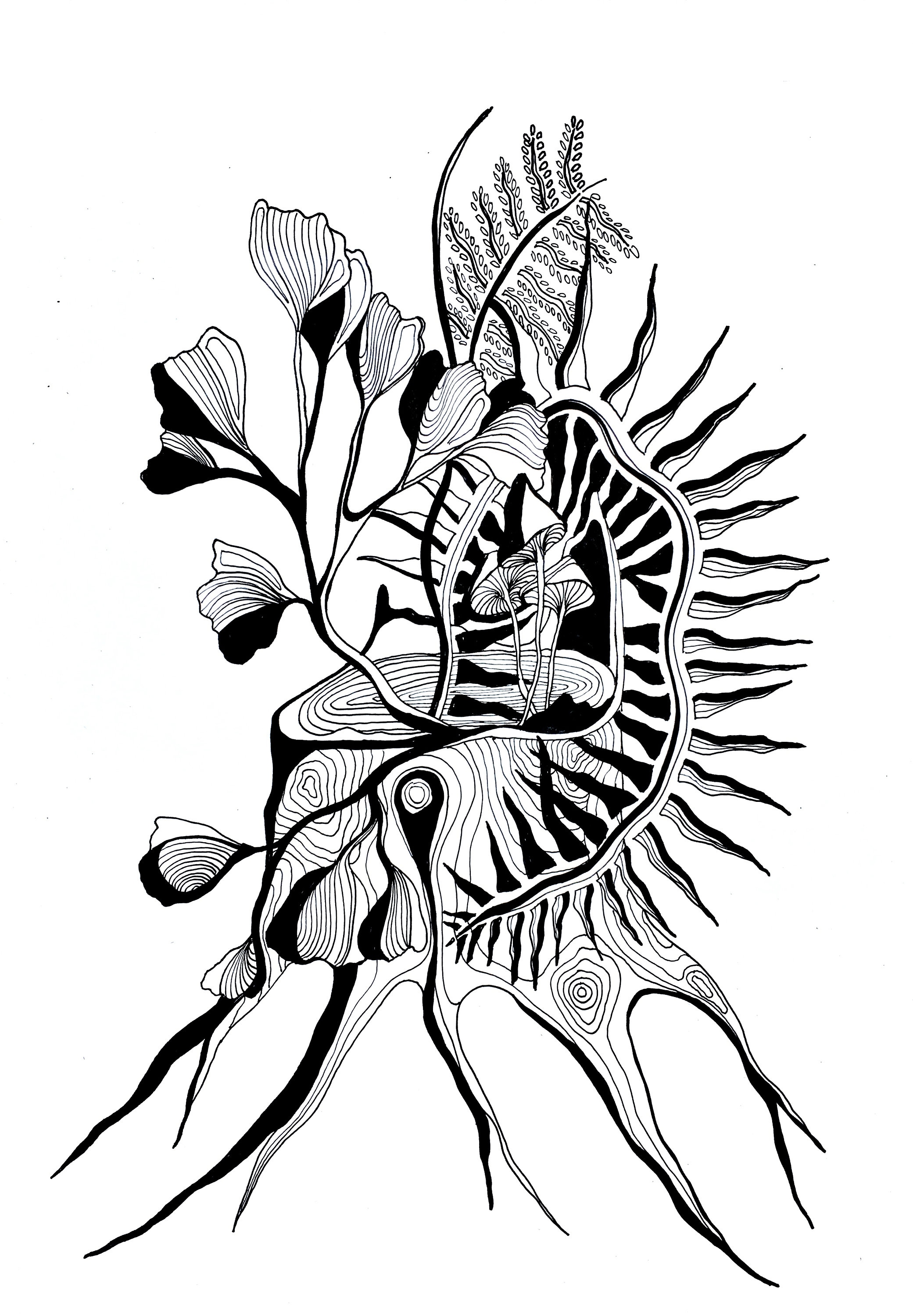 2081x3000 Ferns And Flowers Pen And Ink Drawing Mushrooms Black And Etsy