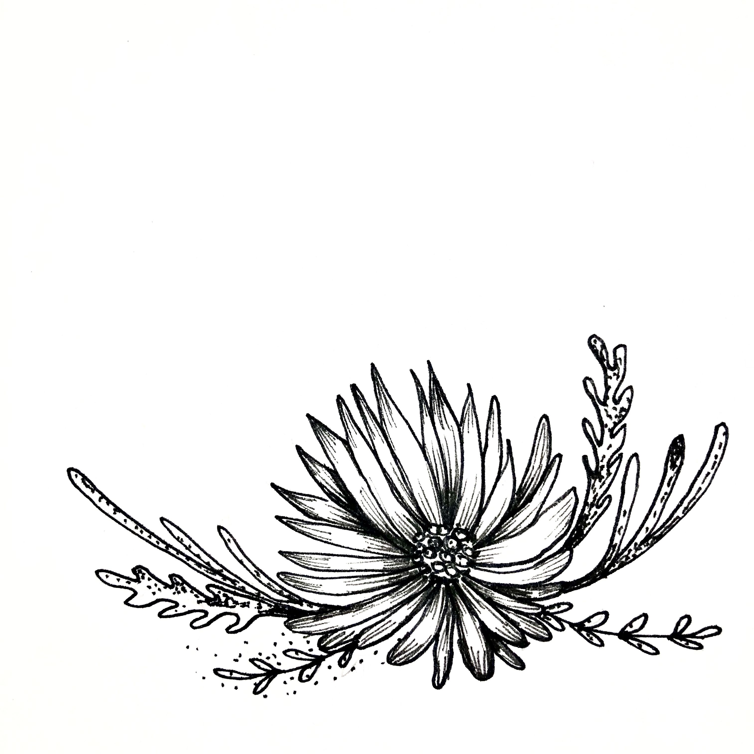 3024x3024 Flower Wreath Hand Sketched Design, Pen And Ink Floral