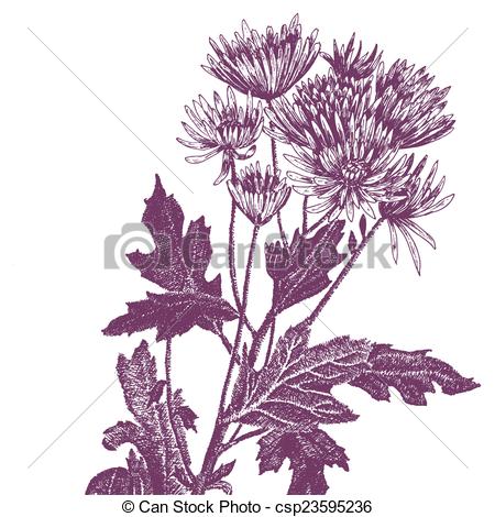 450x470 Pen And Ink Flower