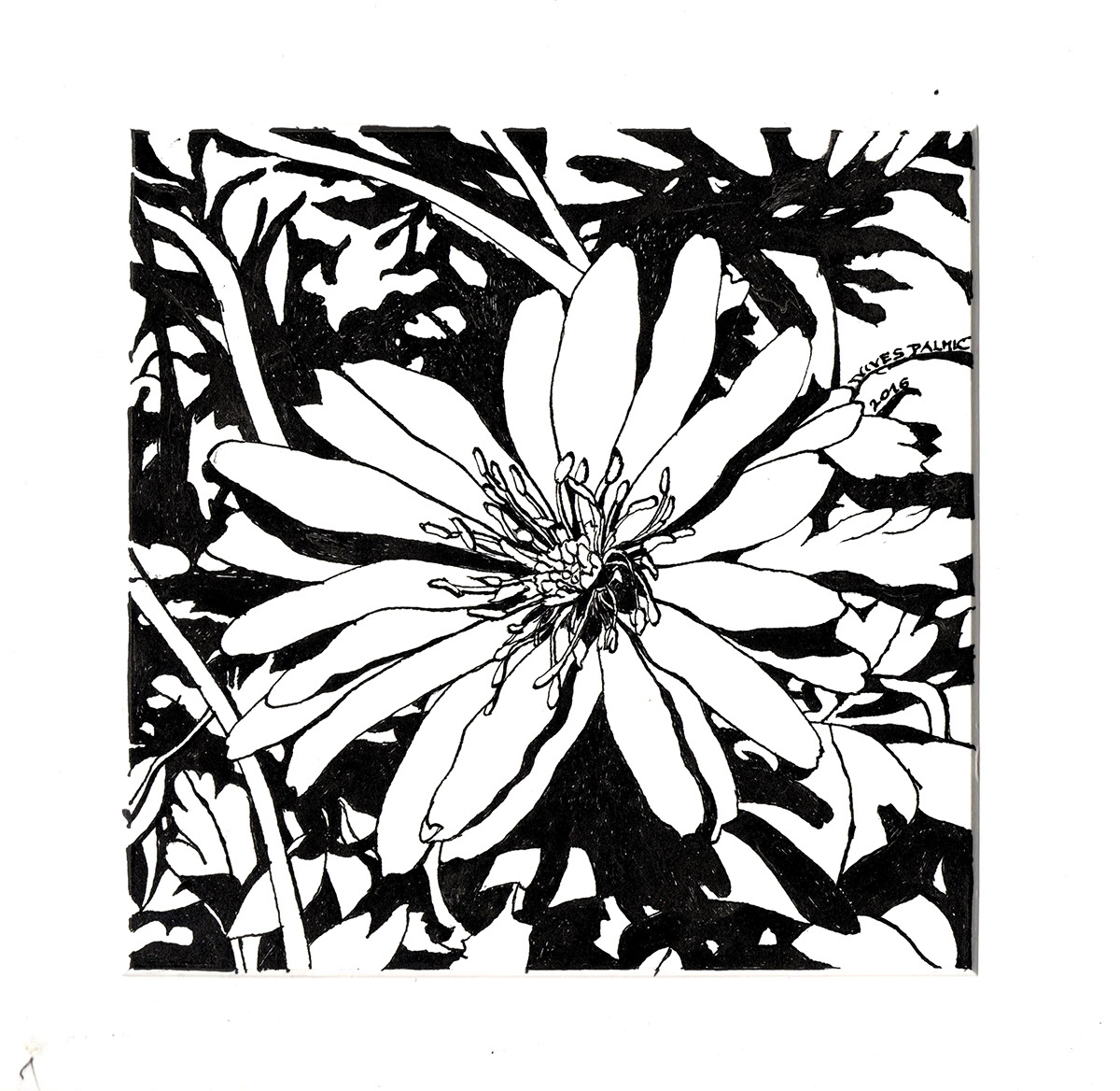 1200x1168 Small Beauties Pen And Ink Drawing On Pantone Canvas Gallery