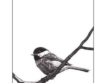 340x270 Pen And Ink Drawing Etsy