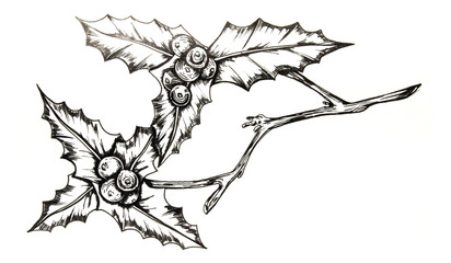 412x240 Hand Drawn Owl On A Branch