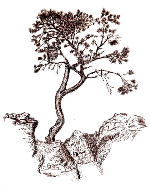 480x600 Pen And Ink Drawings Paintings