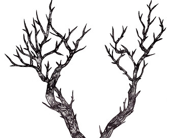 340x270 Tree Art Illustration Nature Tree Drawing Nature Ink Etsy