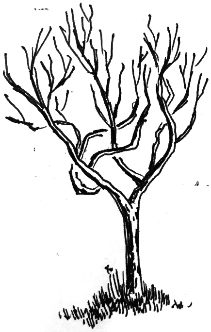 435x684 Drawing A Winterscape