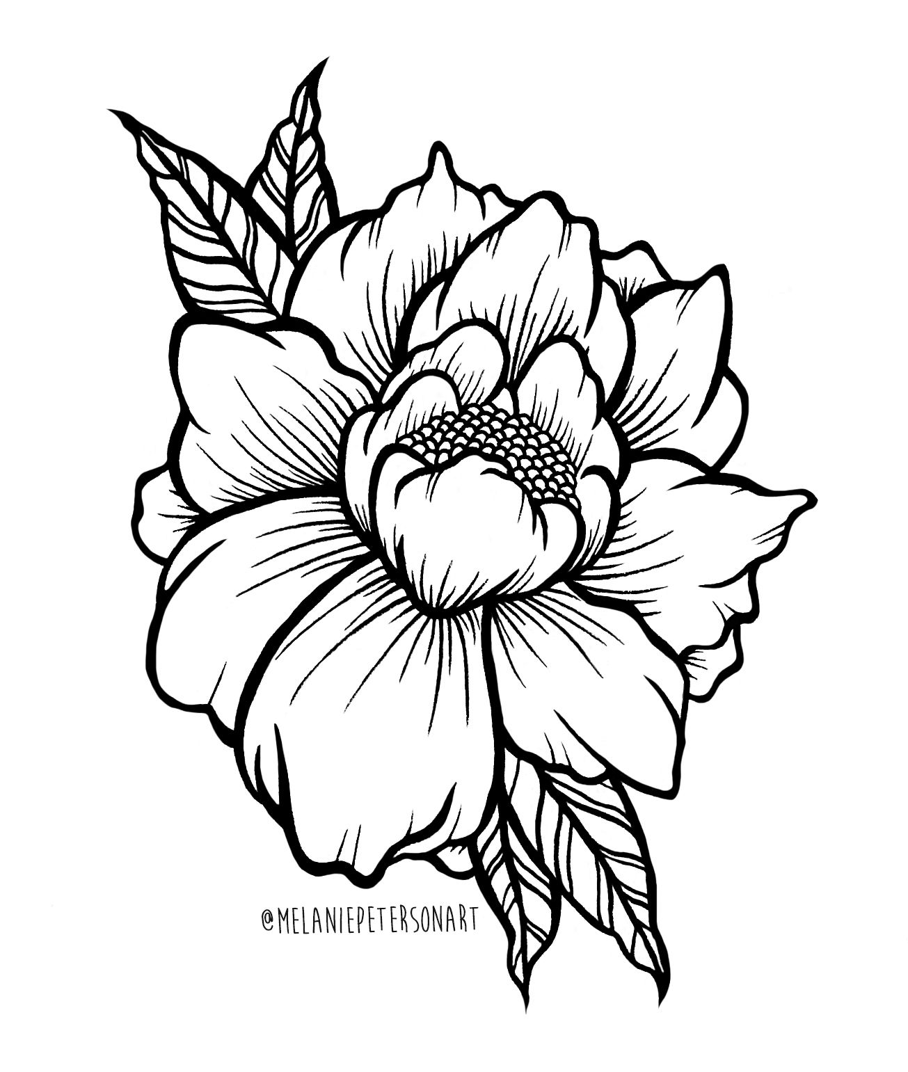 1305x1541 peony illustration done using copic and micron pens