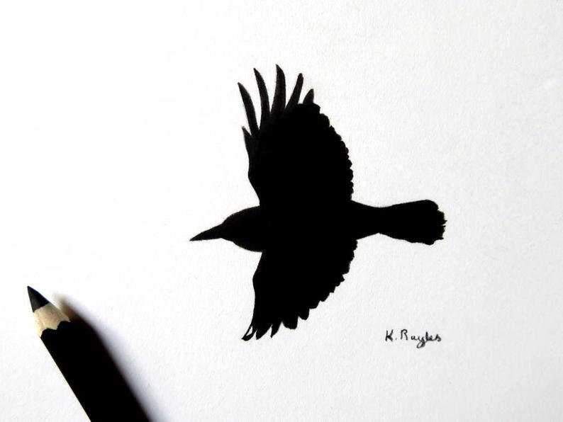 794x596 Crow Rook Original Charcoal Drawing Crow Drawing Crow Etsy