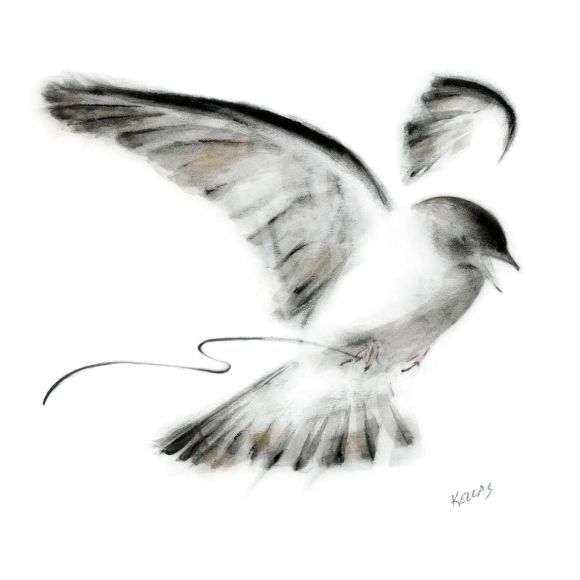 580x580 Ink And Charcoal Drawing Of A Lark With Worm Artsy Drawings