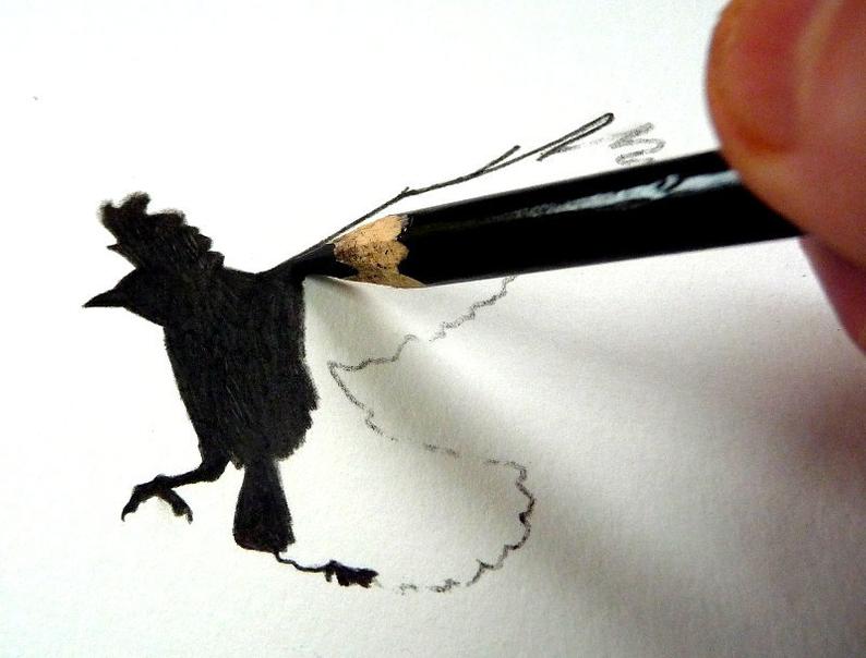 794x604 Jackdaw Original Charcoal Sketch Crow Drawing Pencil Etsy