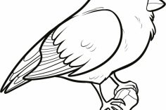 236x157 Pics Of Beautiful Flower Drawings In Pencil Art Step Some Simple