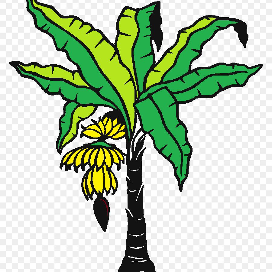 900x900 How To Draw Banana Tree Youtube Outstanding Drawing Pencil Images