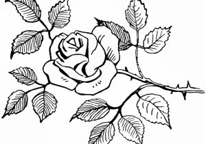 300x210 Pencil Drawing Simple Flower Disign Simple Flower Designs