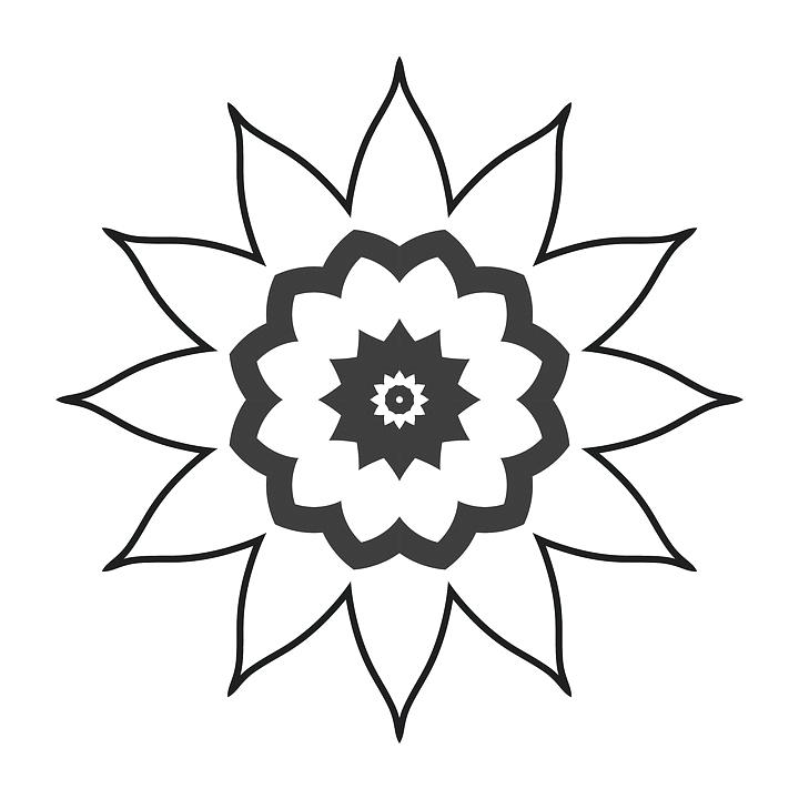 720x720 Simple Flower Drawings Simple Flower Drawings Simple Flower