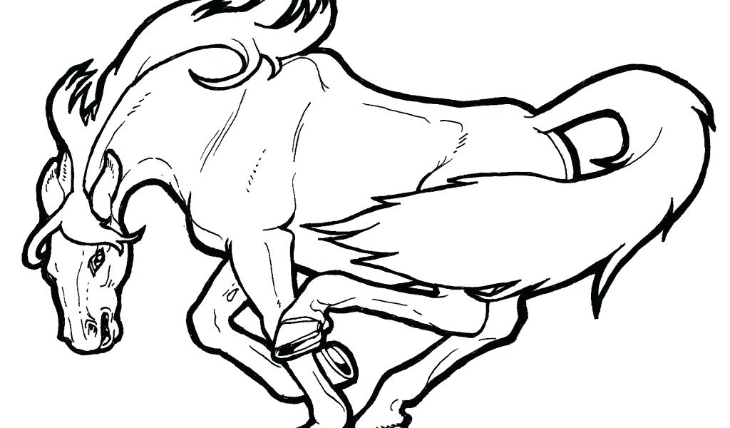 1024x600 Mustang Horse Drawings