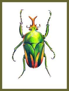 236x309 Iridescent Effect Colored Pencils