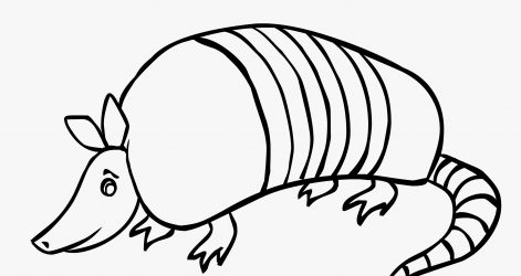 471x250 Pink Fairy Armadillo Drawing Cute Lizard Directed Of Ideas Cartoon